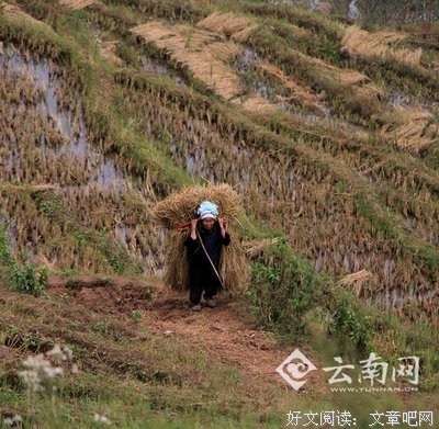 不计较收入的员工，才最可怕！（深度）