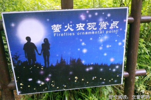 天台上的萤火虫的读后感10篇