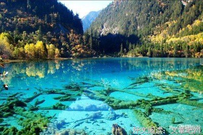 【成都征婚最新男嘉宾回顾】各种优质的小哥哥，哪一位更能撩动你