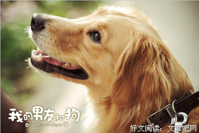 我把你当男友，你把我当宠物狗