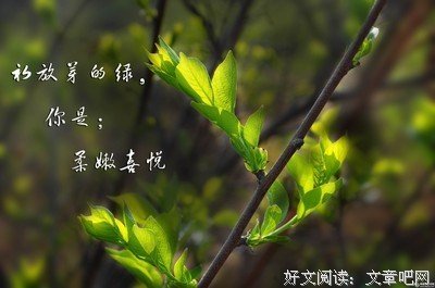 朗诵：不负人间四月天！