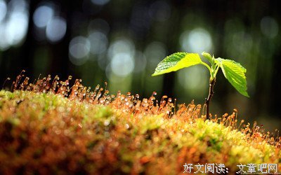 我一天有25小时在假装开心。