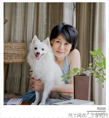 新刊推荐 中篇小说 | 徐衎：仙（节选）