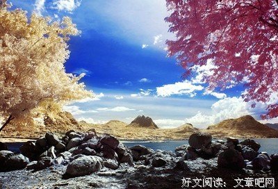 今生所爱，只是完成生命的修行
