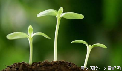当你的内在冲突消失，才有爱别人的能力