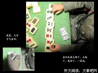《希姆莱兄弟》的读后感10篇