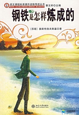 依然谨慎的乐观读后感精选10篇