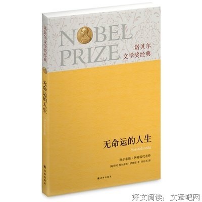 210万核灾下的人生实录，这才是诺贝尔文学奖的精髓所在！