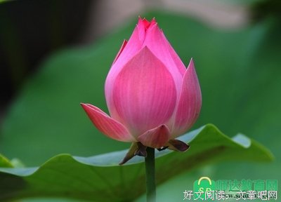 舒适的语句摘抄_关于舒适的语句