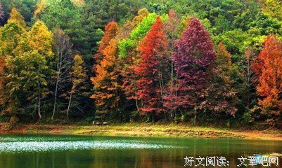 描写安城的语句摘抄