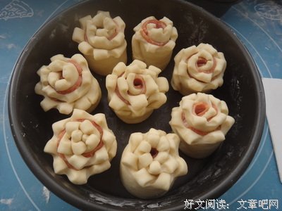 2017培根名句欣赏