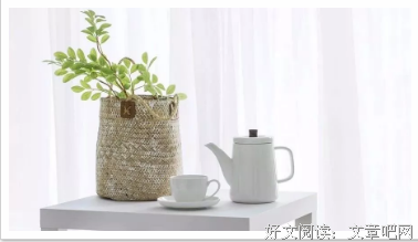 赏读丨让心，在简约中安放