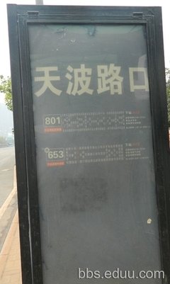 桃花镇：合欢情
