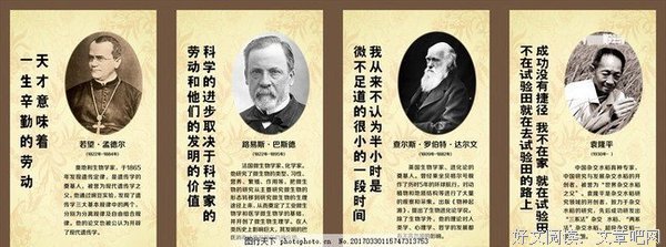 关于路易斯的格言