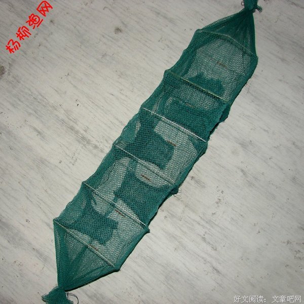 泥鳅的名人名言