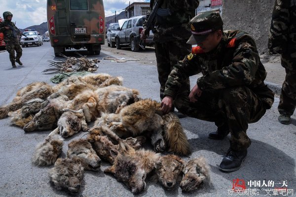 生命的事工者 Ministers Of Life