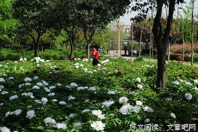 轻读 | 当你的善被恶践踏时