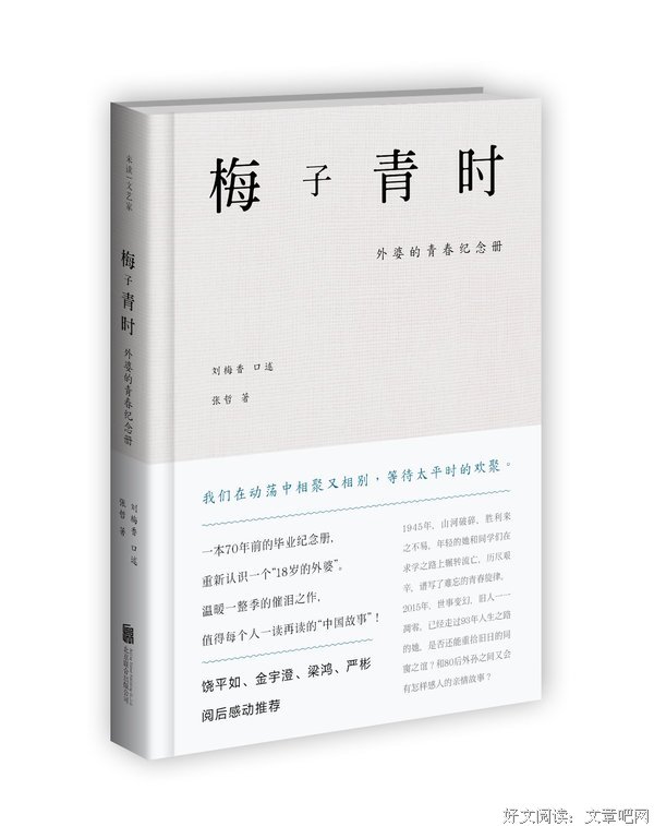 《梅子青时》读后感10篇