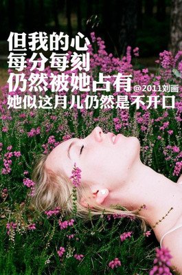 描写王月半的经典句子