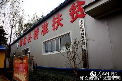《桐柏英雄》观后感10篇