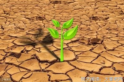 关于慈悲的座右铭