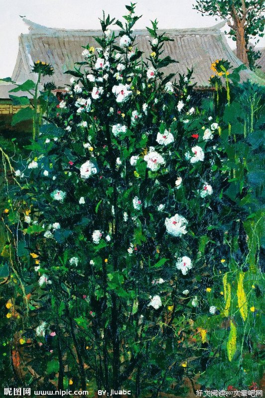 当吴冠中画里的木槿花到了她锅里 l 刘早生