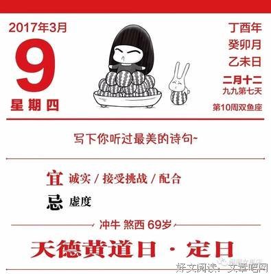 关于苏菲的语句
