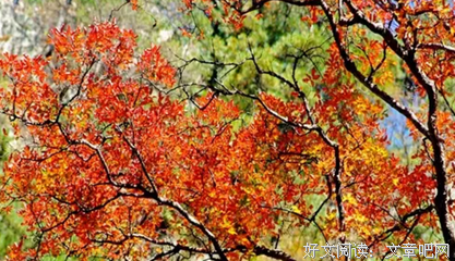 你的文化层次有多高，看这3点就知道