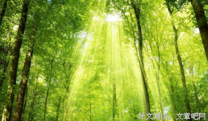 2017贾平凹经典语录