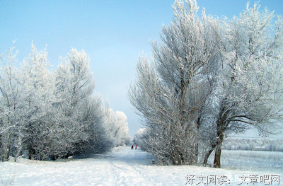 最新的《白说》经典句子大全