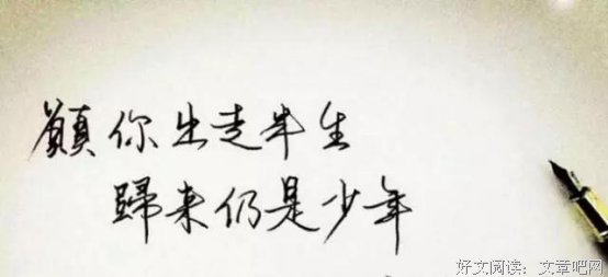 半生归来，淡雅中年