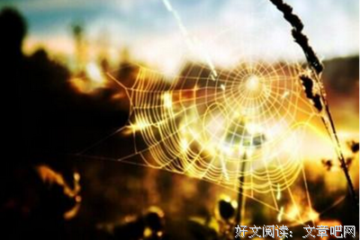一个红颜知己的温柔陷阱。