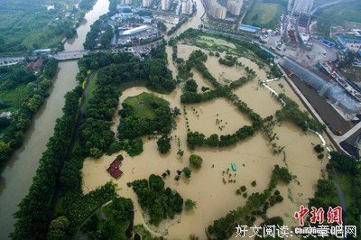2017孟非名言名句