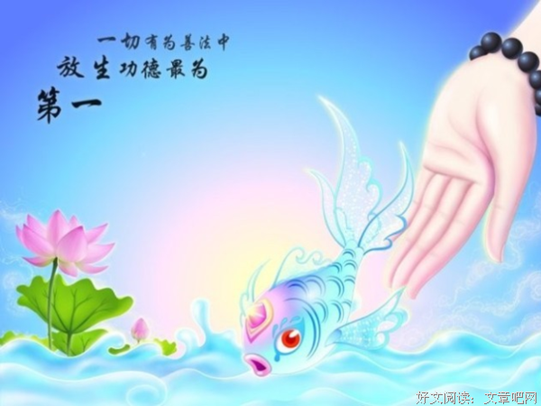 放生的那些事