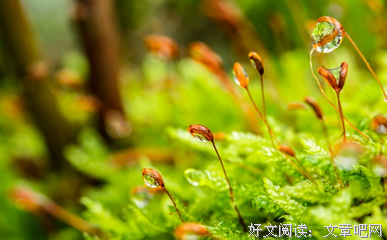 做到这一点的情侣最不容易分手