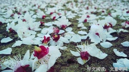 朋友圈背景图片，暴露了你的心事