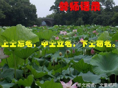 15条关于圆融的经典语句