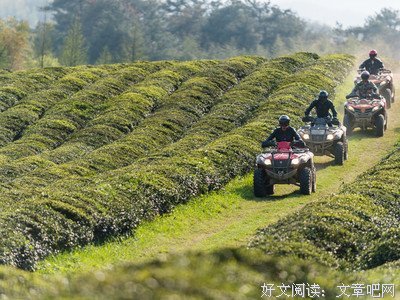 来过这里的人，心都玩“野”了 