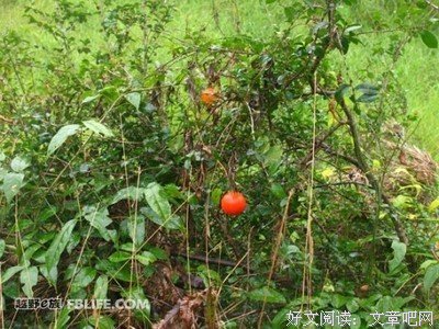 他是最后一个70后小生，沉寂九年，“脱身”归来