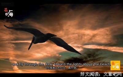 【《渡过3》节选】之五：第二次成长