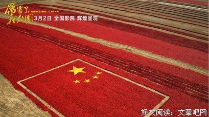 《我11》的观后感10篇