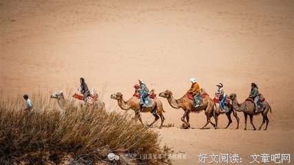 夜读：你若付出，方见美好