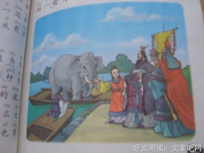 叶读后感10篇