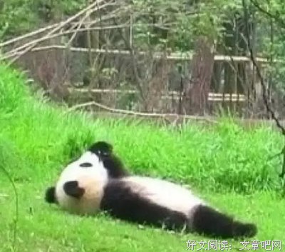 “你已被移除群聊”