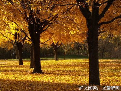 分开后的48小时。。。