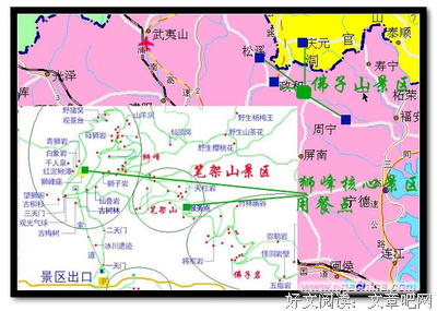 佛子的语句摘抄_关于佛子的语句