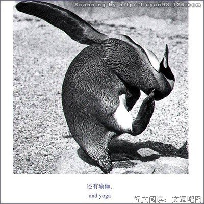 心情不好的时候，想想这句话