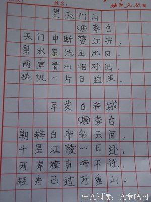《她和她的猫》读后感10篇