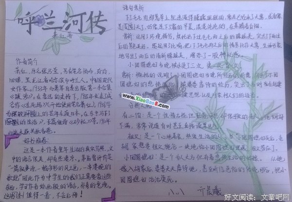 呼兰河传读后感精选10篇