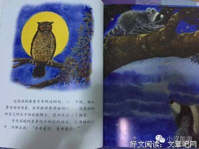 温言的7月书单